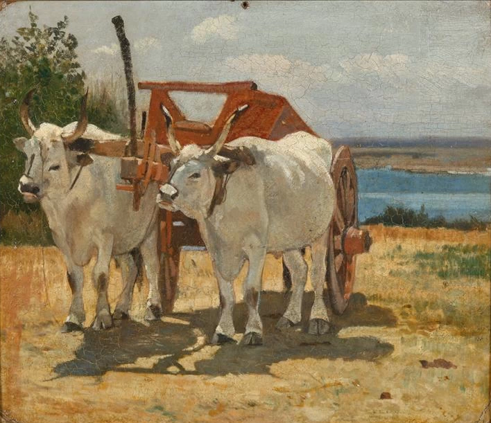 Bovi bianchi al carro - Collezione del Dott. Alberto Marri, Palazzo Foresti, Carpi (Modena)